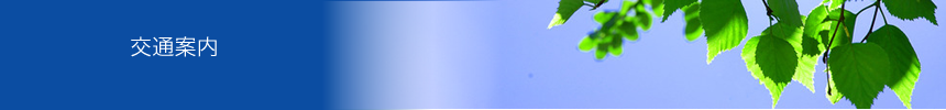 交通案内